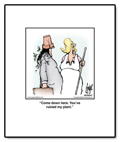 Come down here. You’ve ruined my plant.