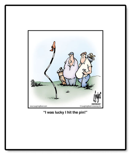 I was lucky I hit the pin!