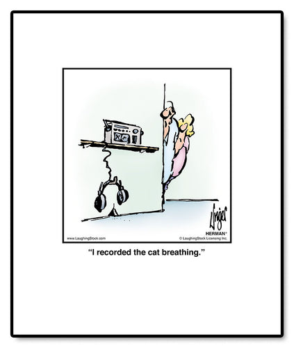 I taped the cat breathing.