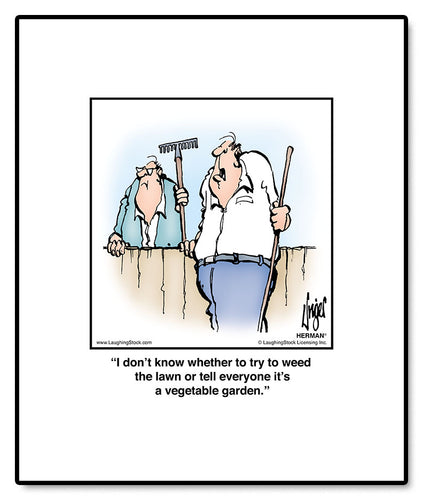 I don’t know whether to try to weed the lawn or tell everyone it’s a vegetable garden.