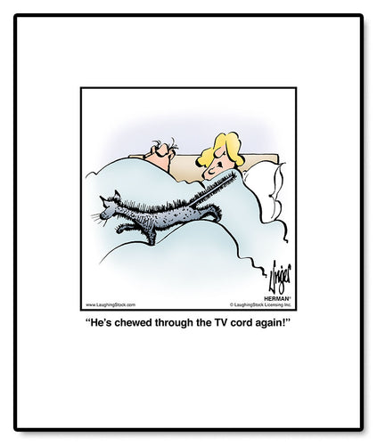 He’s chewed through the TV cord again!