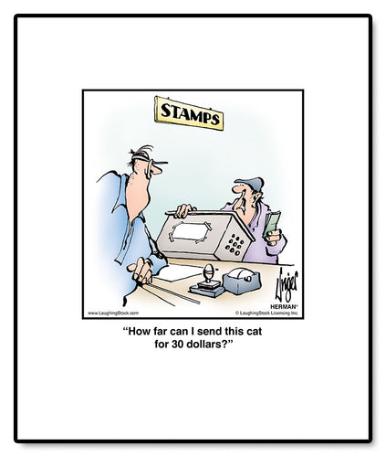 How far can I send this cat for 30 dollars?