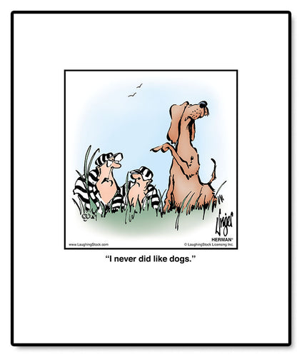 I never did like dogs.