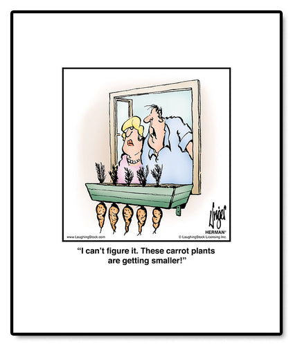 I can’t ﬁgure it. These carrot plants are getting smaller!