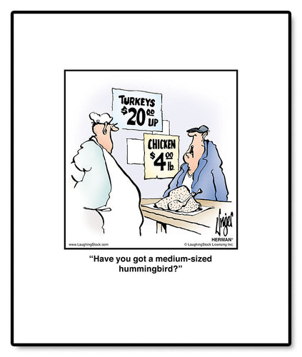 Have you got a medium-sized hummingbird?