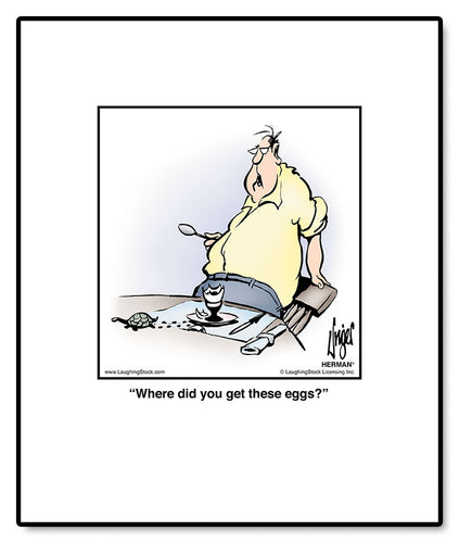 Where did you get these eggs?