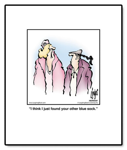 I think I just found your other blue sock.