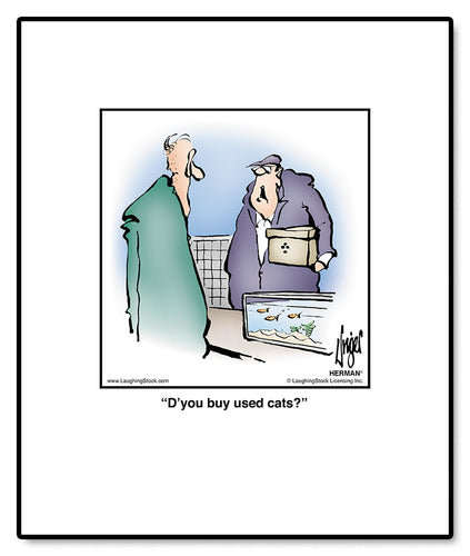 D’you buy used cats?