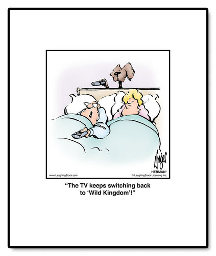 The TV keeps switching back to ‘Wild Kingdom’!