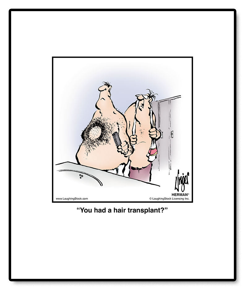 You had a hair transplant?