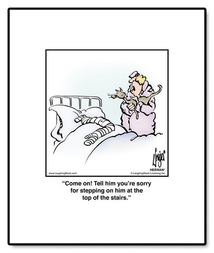 Come on! Tell him you’re sorry for stepping on him at the top of the stairs.