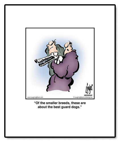 Of the smaller breeds, these are about the best guard dogs.