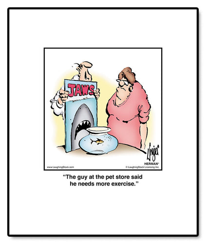 The guy at the pet store said he needs more exercise.