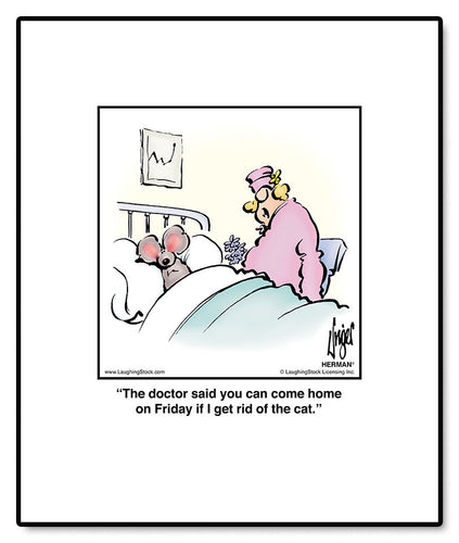 The doctor said you can come home on Friday if I get rid of the cat.