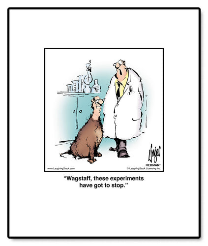 Wagstaff, these experiments have got to stop.