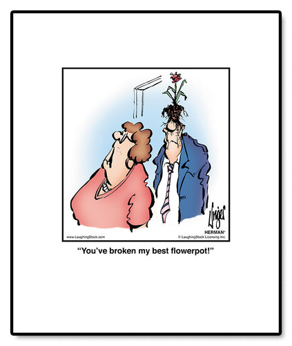 You’ve broken my best ﬂowerpot!