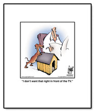 Load image into Gallery viewer, I don’t want that right in front of the TV.