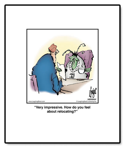 Very impressive. How do you feel about relocating?