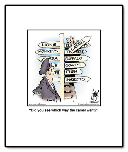 Did you see which way the camel went?