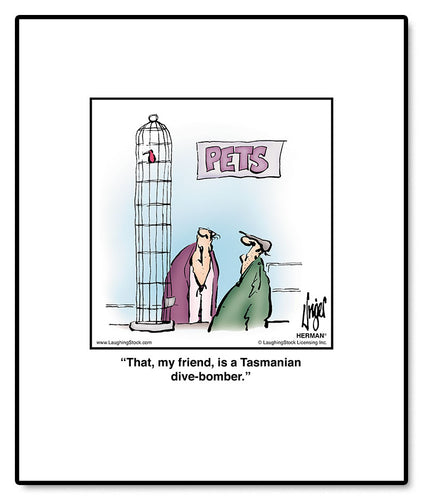 That, my friend, is a Tasmanian dive-bomber.