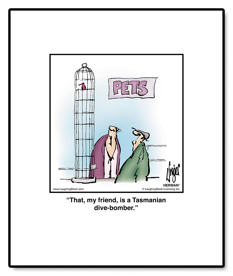 That, my friend, is a Tasmanian dive-bomber.