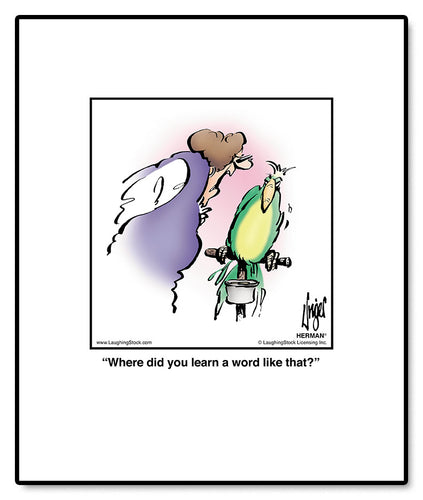 Where did you learn a word like that?