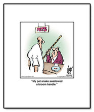 Load image into Gallery viewer, My pet snake swallowed a broom handle.