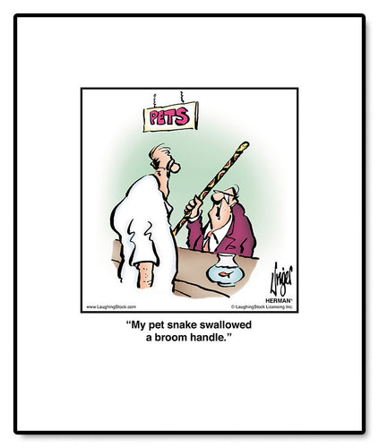 My pet snake swallowed a broom handle.