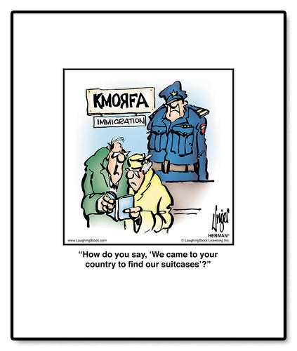 How do you say, ‘We came to your country to ﬁnd our suitcases’?