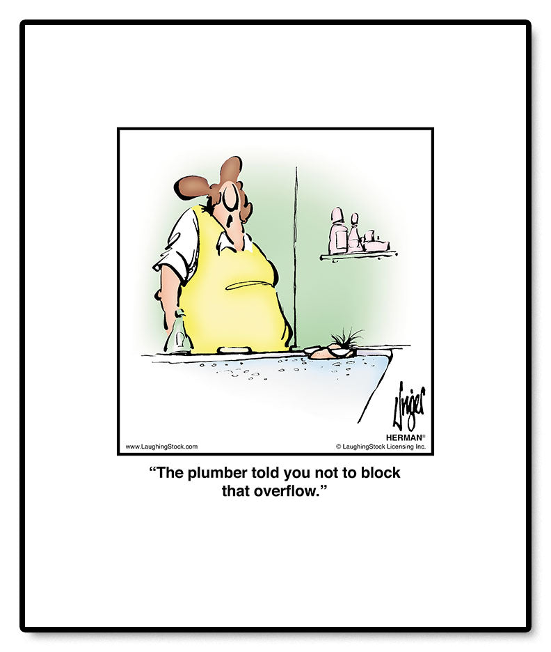 The plumber told you not to block that overﬂow.