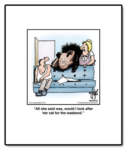 All she said was, would I look after her cat for the weekend.