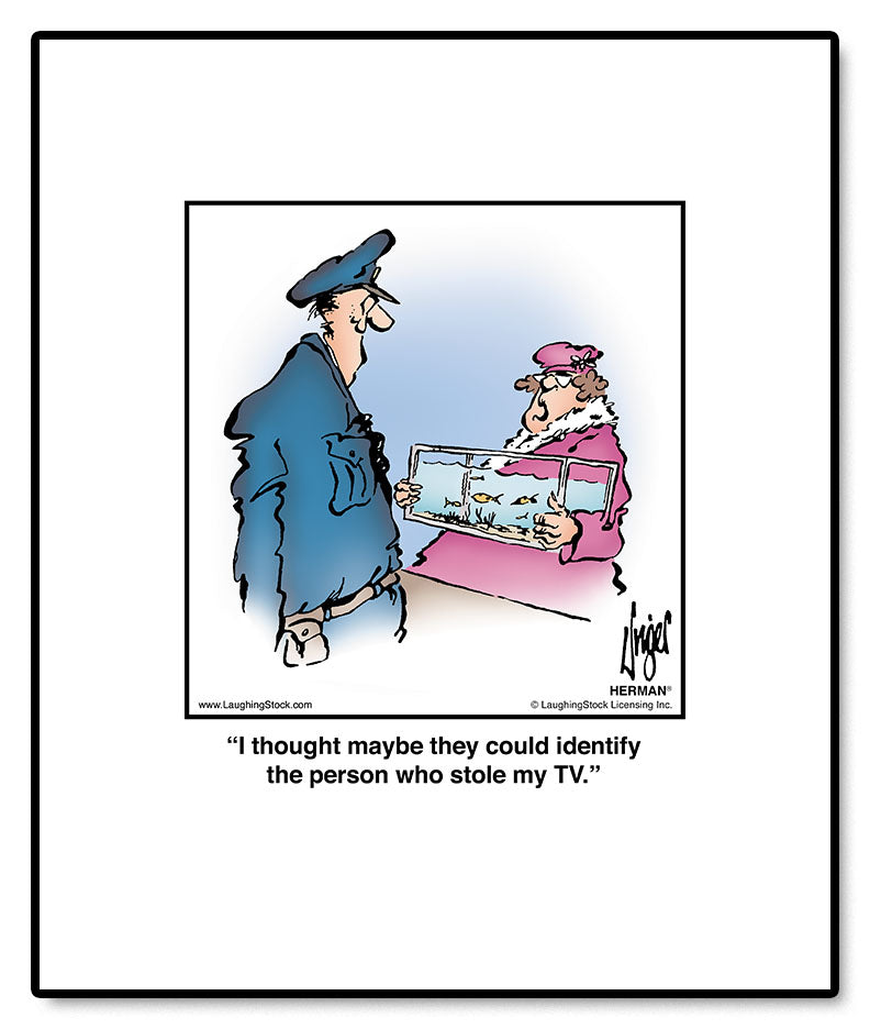 I thought maybe they could identify the person who stole my TV.