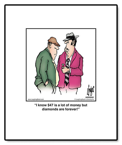 I know $47 is a lot of money but diamonds are forever!