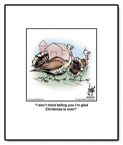 I don’t mind telling you I’m glad Christmas is over!