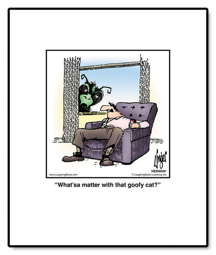 What’sa matter with that goofy cat?