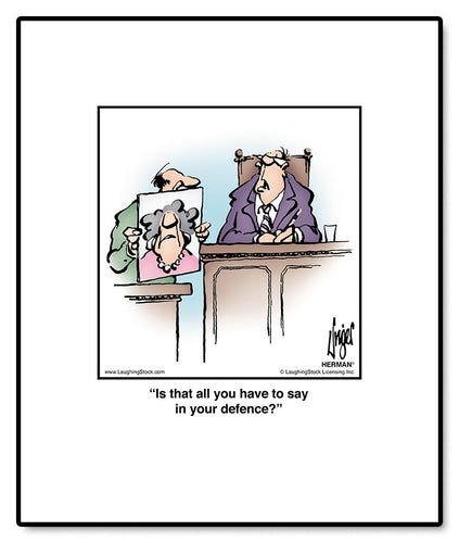 Is that all you have to say in your defence?