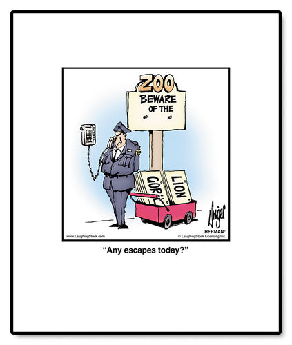 Any escapes today?