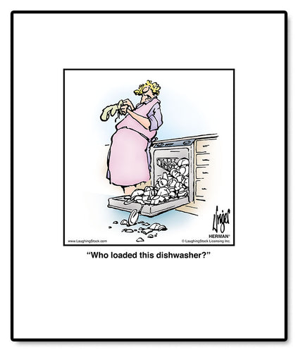 Who loaded this dishwasher?