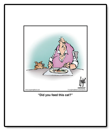 Did you feed this cat?