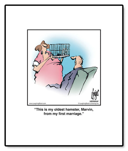 This is my oldest hamster, Marvin, from my first marriage.