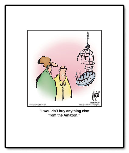 I wouldn’t buy anything else from the Amazon.