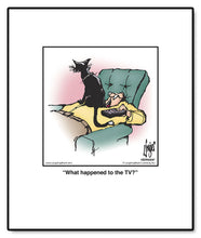 Load image into Gallery viewer, What happened to the TV?