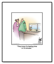 Load image into Gallery viewer, They know it’s feeding time in 10 minutes.