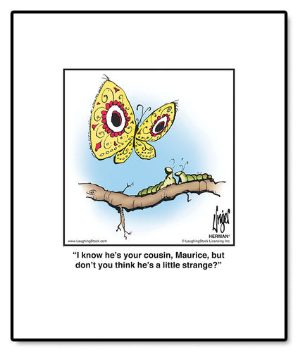 I know he’s your cousin, Maurice, but don’t you think he’s a little strange?