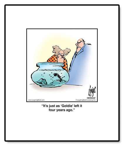 It’s just as ‘Goldie’ left it four years ago.