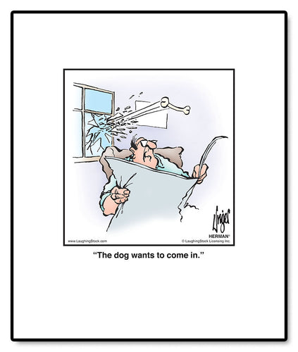 The dog wants to come in.