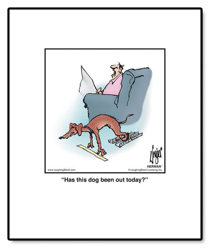 Has this dog been out today?