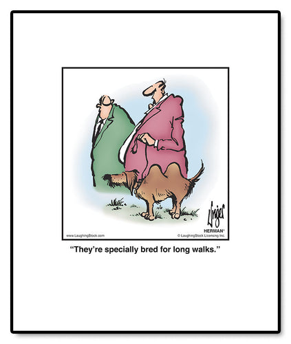 They’re specially bred for long walks.