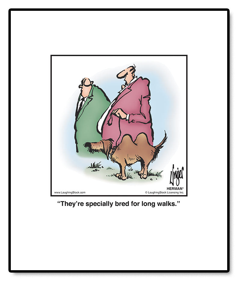They’re specially bred for long walks.