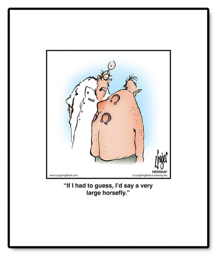 If I had to guess, I’d say a very large horsefly.